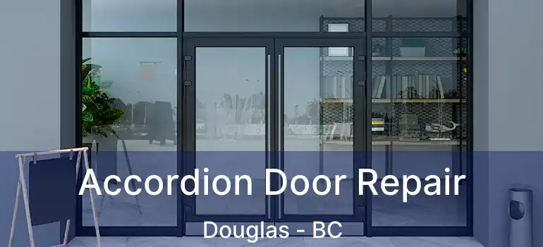  Accordion Door Repair Douglas - BC