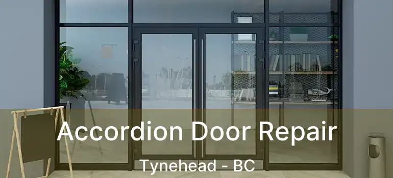  Accordion Door Repair Tynehead - BC