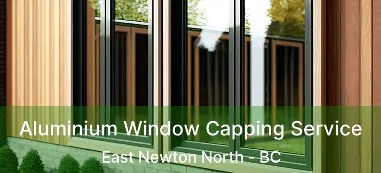  Aluminium Window Capping Service East Newton North - BC