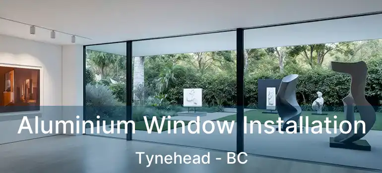  Aluminium Window Installation Tynehead - BC