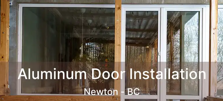  Aluminum Door Installation Newton - BC