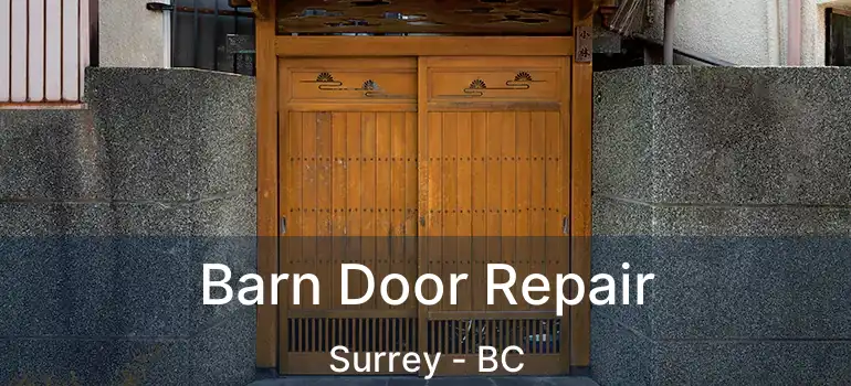  Barn Door Repair Surrey - BC