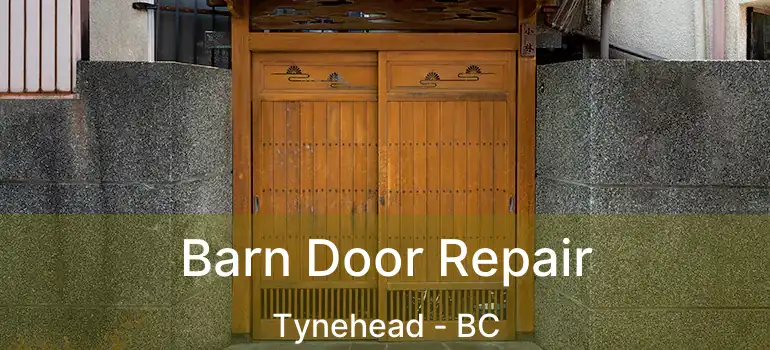  Barn Door Repair Tynehead - BC