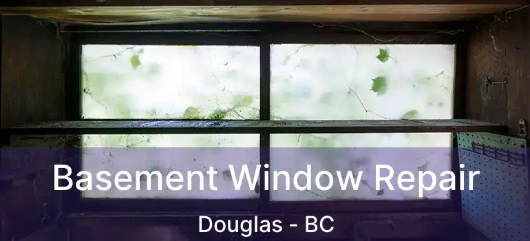  Basement Window Repair Douglas - BC