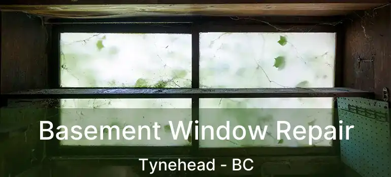 Basement Window Repair Tynehead - BC