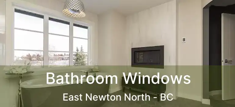  Bathroom Windows East Newton North - BC