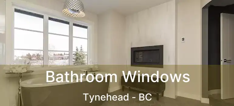  Bathroom Windows Tynehead - BC