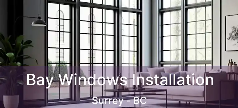 Bay Windows Installation Surrey - BC