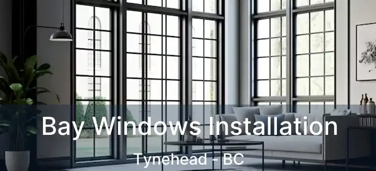  Bay Windows Installation Tynehead - BC