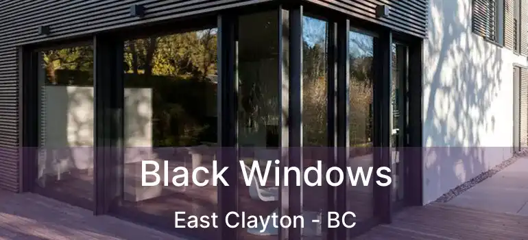  Black Windows East Clayton - BC
