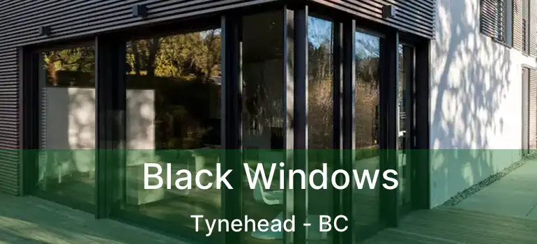  Black Windows Tynehead - BC
