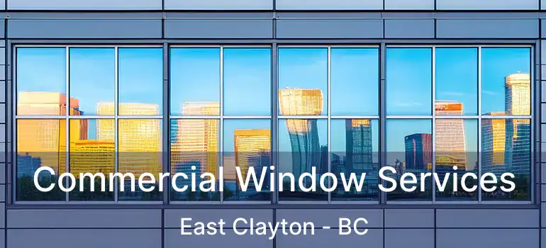  Commercial Window Services East Clayton - BC