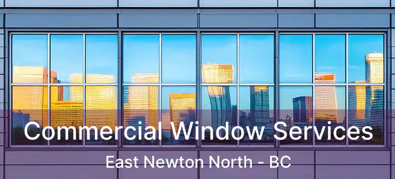  Commercial Window Services East Newton North - BC