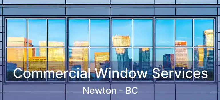  Commercial Window Services Newton - BC