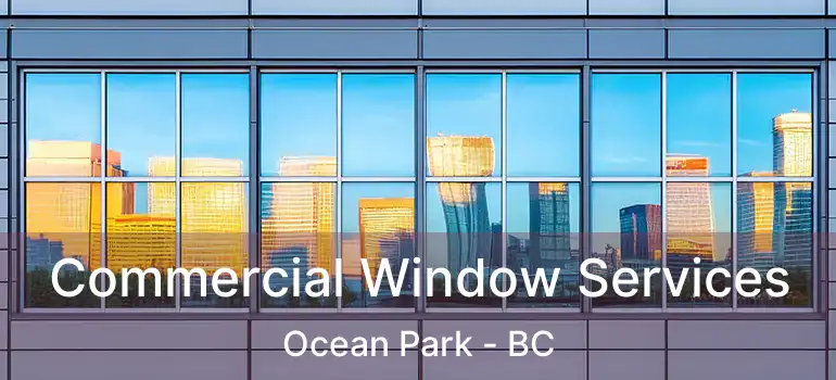  Commercial Window Services Ocean Park - BC