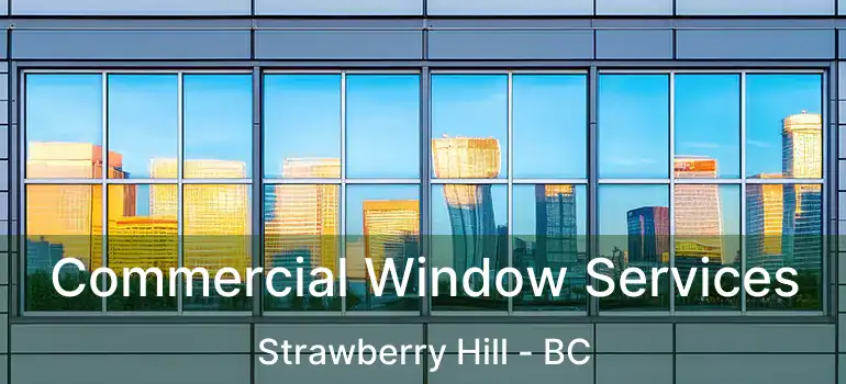  Commercial Window Services Strawberry Hill - BC