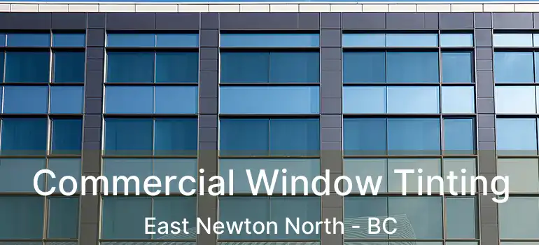 Commercial Window Tinting East Newton North - BC