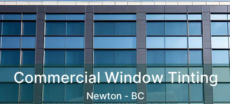  Commercial Window Tinting Newton - BC