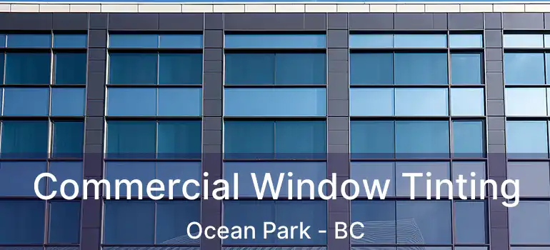  Commercial Window Tinting Ocean Park - BC