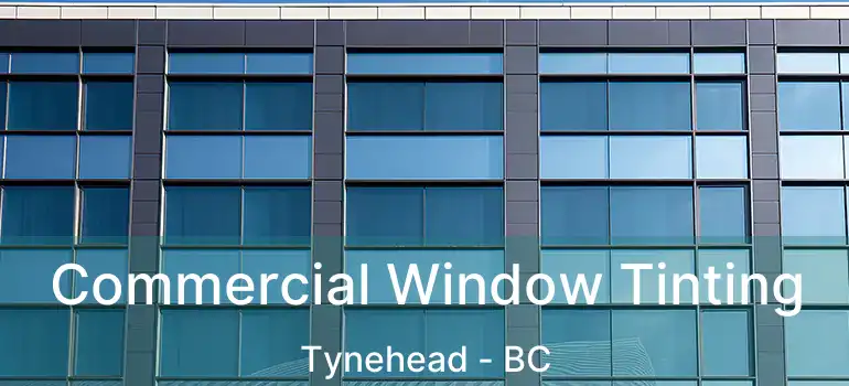  Commercial Window Tinting Tynehead - BC