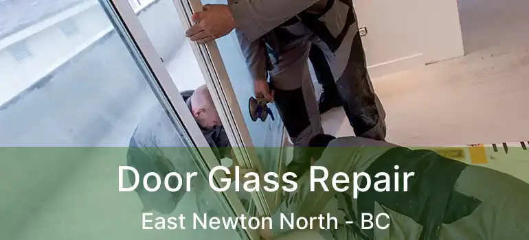  Door Glass Repair East Newton North - BC