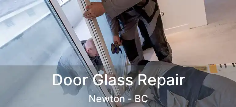  Door Glass Repair Newton - BC