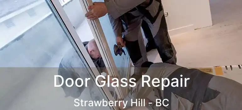  Door Glass Repair Strawberry Hill - BC