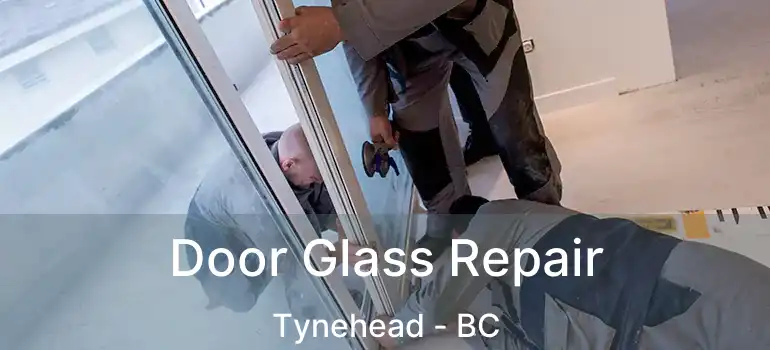 Door Glass Repair Tynehead - BC