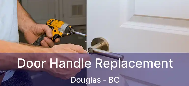  Door Handle Replacement Douglas - BC