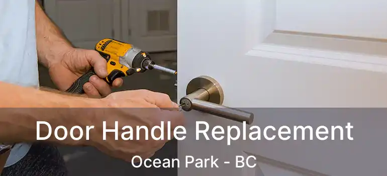  Door Handle Replacement Ocean Park - BC