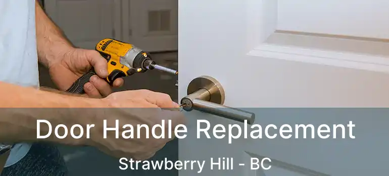  Door Handle Replacement Strawberry Hill - BC