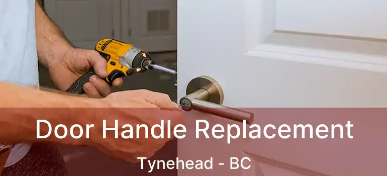  Door Handle Replacement Tynehead - BC