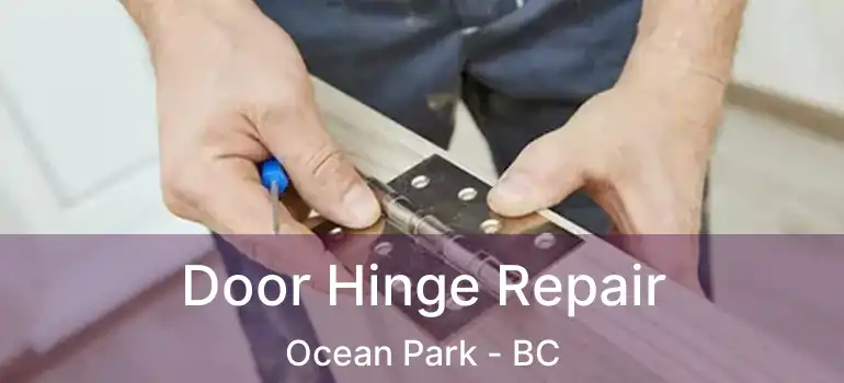  Door Hinge Repair Ocean Park - BC
