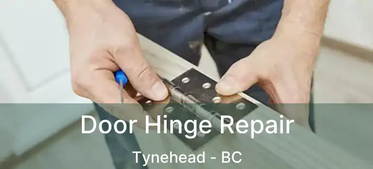  Door Hinge Repair Tynehead - BC