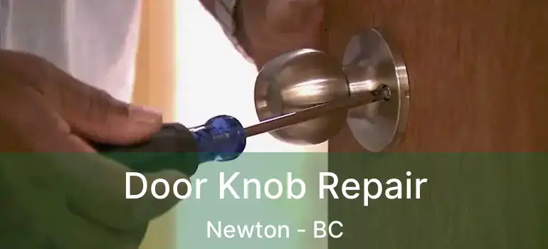  Door Knob Repair Newton - BC