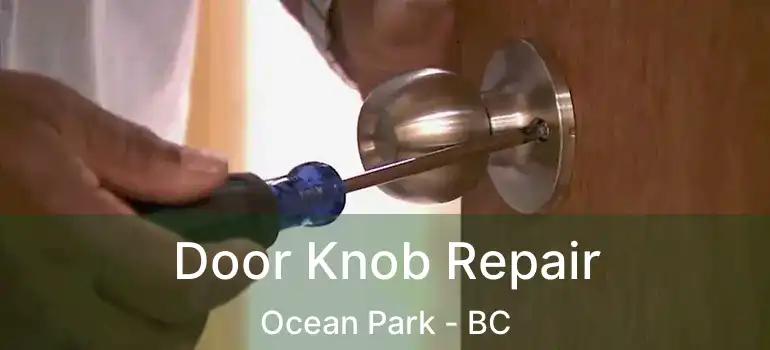  Door Knob Repair Ocean Park - BC