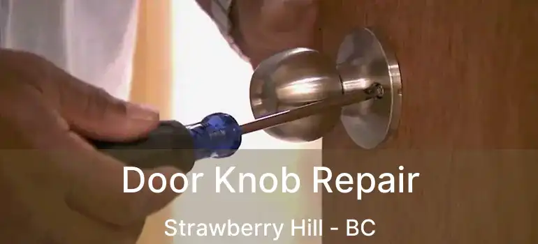  Door Knob Repair Strawberry Hill - BC