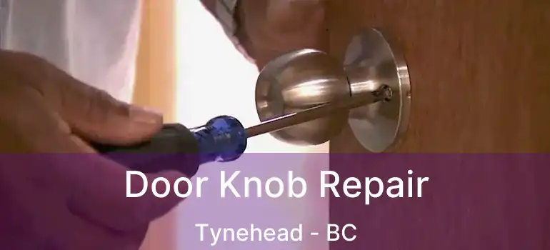  Door Knob Repair Tynehead - BC