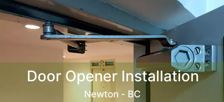  Door Opener Installation Newton - BC