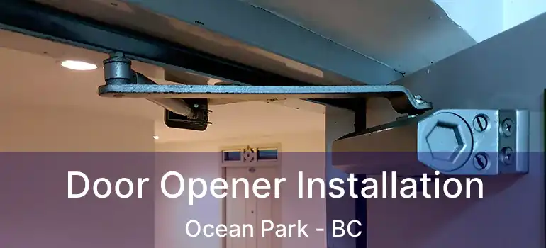  Door Opener Installation Ocean Park - BC