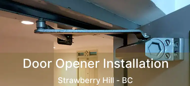  Door Opener Installation Strawberry Hill - BC