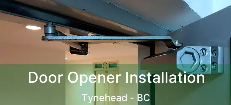 Door Opener Installation Tynehead - BC