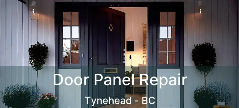  Door Panel Repair Tynehead - BC