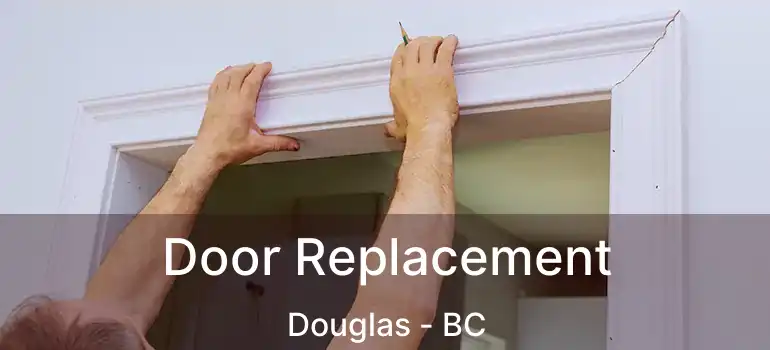  Door Replacement Douglas - BC