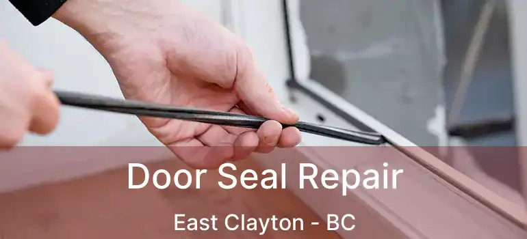  Door Seal Repair East Clayton - BC