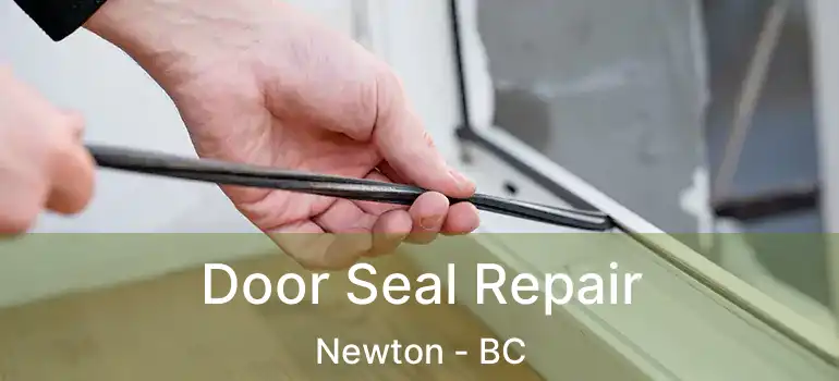  Door Seal Repair Newton - BC
