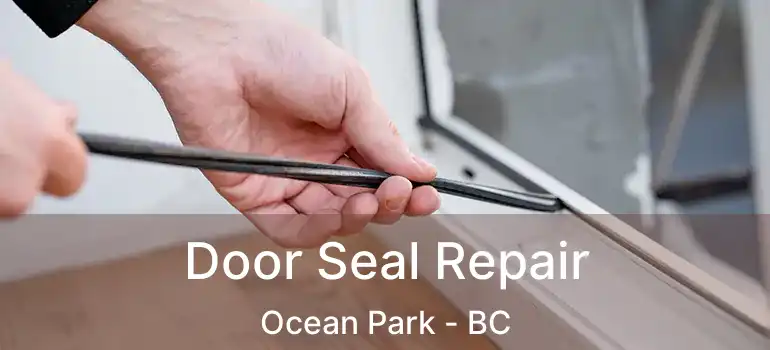  Door Seal Repair Ocean Park - BC