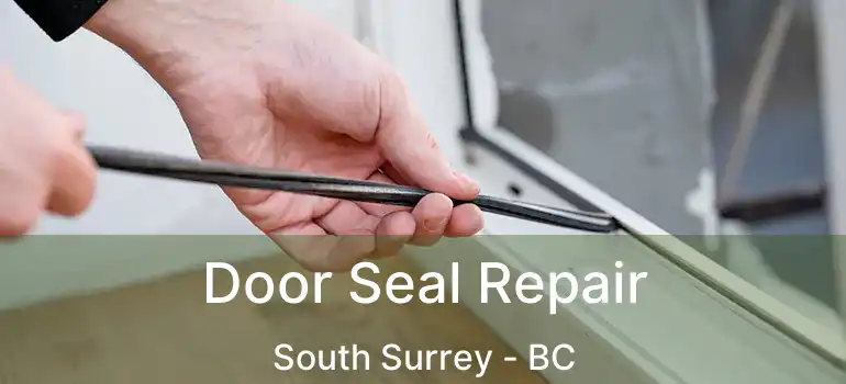  Door Seal Repair South Surrey - BC