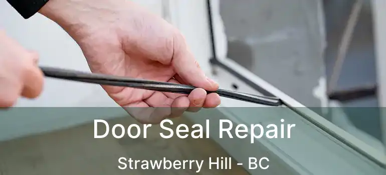  Door Seal Repair Strawberry Hill - BC