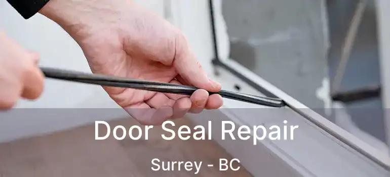  Door Seal Repair Surrey - BC
